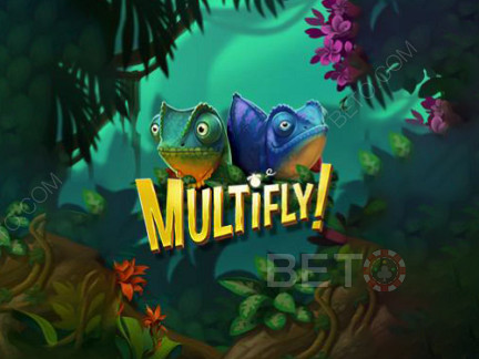 MultiFly डेमो