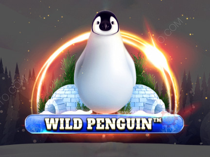 Wild Penguin डेमो