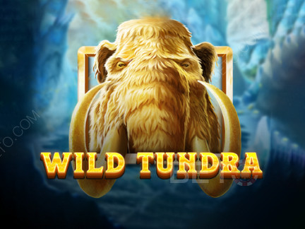 Wild Tundra डेमो