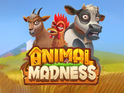 Animal Madness डेमो