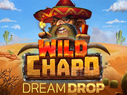 Wild Chapo Dream Drop डेमो
